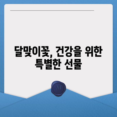 달맞이꽃의 매력,  야생화 정원에 피어나는 아름다움 | 야생화, 꽃말, 재배 정보, 효능