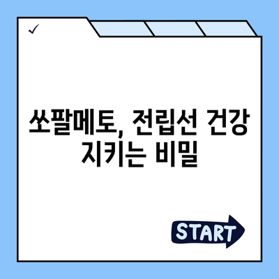 쏘팔메토 효능 총정리| 전립선 건강, 탈모, 남성호르몬까지 | 건강, 남성, 쏘팔메토, 효능, 부작용