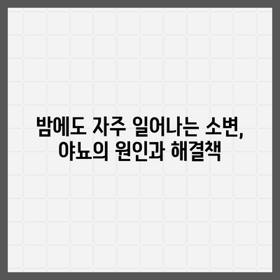 소변이 자주 마려운 이유| 원인과 해결책 | 빈뇨, 야뇨, 방광염, 건강 팁