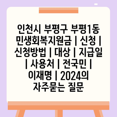 인천시 부평구 부평1동 민생회복지원금 | 신청 | 신청방법 | 대상 | 지급일 | 사용처 | 전국민 | 이재명 | 2024