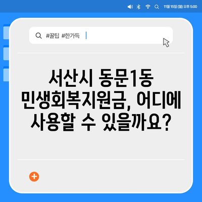 충청남도 서산시 동문1동 민생회복지원금 | 신청 | 신청방법 | 대상 | 지급일 | 사용처 | 전국민 | 이재명 | 2024