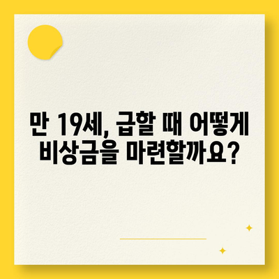 만 19세, 급할 때 쓸 수 있는 비상금 대출 정보 | 비상금, 소액대출, 신용등급, 대출조건