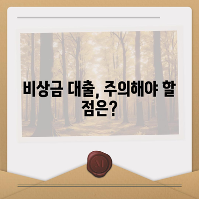 만 19세, 비상금 대출 신청 가능할까요? | 비상금 대출 조건, 신청 방법, 주의 사항