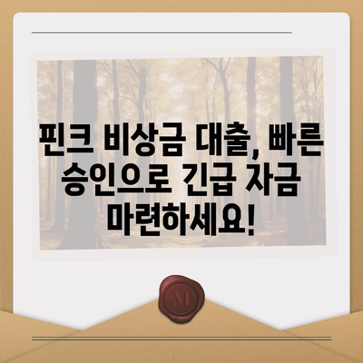 핀크 비상금 대출, 급할 때 딱! | 빠른 승인, 간편한 신청, 금리 비교