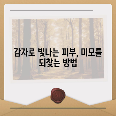 감자의 놀라운 효능| 건강, 다이어트, 피부까지 | 감자 효능, 감자 건강, 감자 다이어트, 감자 레시피