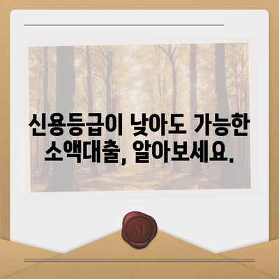 만 19세, 급할 때 쓸 수 있는 비상금 대출 정보 | 비상금, 소액대출, 신용등급, 대출조건