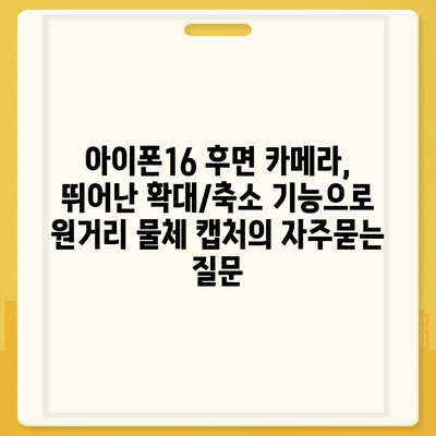 아이폰16 후면 카메라, 뛰어난 확대/축소 기능으로 원거리 물체 캡처