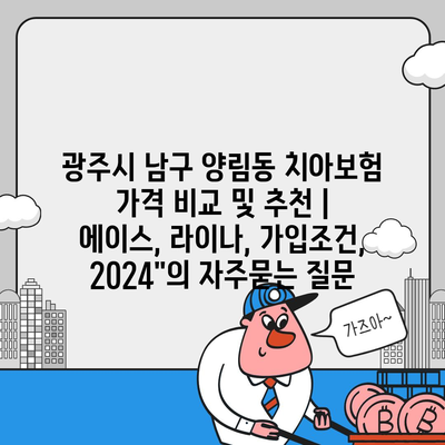 광주시 남구 양림동 치아보험 가격 비교 및 추천 | 에이스, 라이나, 가입조건, 2024"