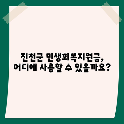 충청북도 진천군 진천읍 민생회복지원금 | 신청 | 신청방법 | 대상 | 지급일 | 사용처 | 전국민 | 이재명 | 2024