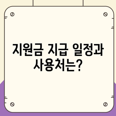 전라북도 임실군 신평면 민생회복지원금 | 신청 | 신청방법 | 대상 | 지급일 | 사용처 | 전국민 | 이재명 | 2024