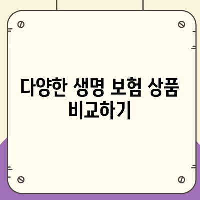 생명 보험 가입