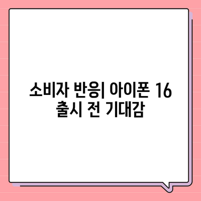 아이폰 16 한국 출시일 1차 출시 기대 이유