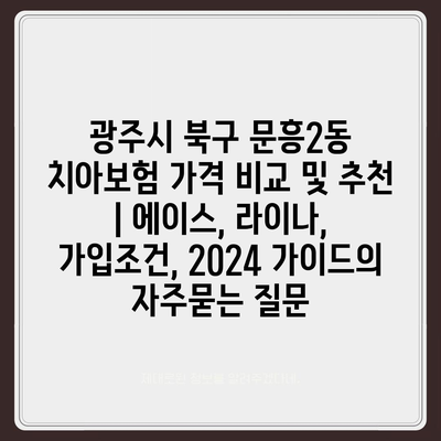 광주시 북구 문흥2동 치아보험 가격 비교 및 추천 | 에이스, 라이나, 가입조건, 2024 가이드