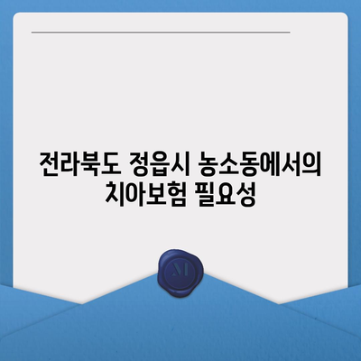 전라북도 정읍시 농소동 치아보험 가격 비교 | 에이스, 라이나 추천 및 가입조건 상세 가이드 | 2024