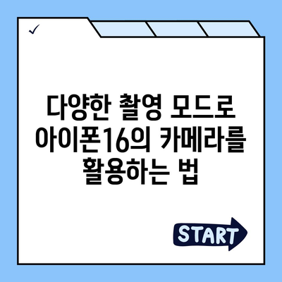 아이폰16 후면 카메라, 더 큰 화소로 풍부한 디테일 캡처