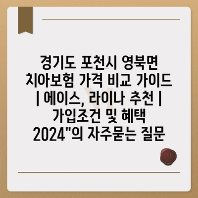 경기도 포천시 영북면 치아보험 가격 비교 가이드 | 에이스, 라이나 추천 | 가입조건 및 혜택 2024"