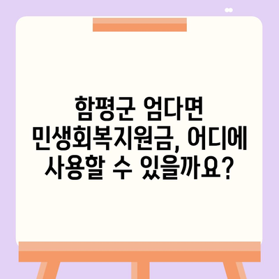 전라남도 함평군 엄다면 민생회복지원금 | 신청 | 신청방법 | 대상 | 지급일 | 사용처 | 전국민 | 이재명 | 2024