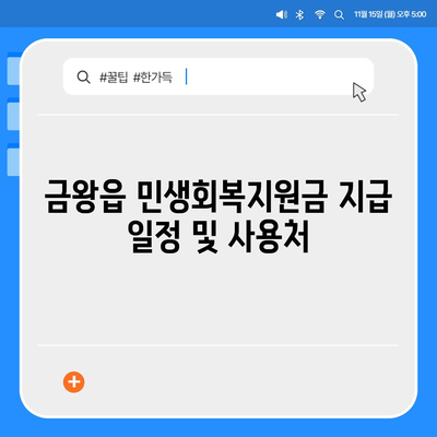 충청북도 음성군 금왕읍 민생회복지원금 | 신청 | 신청방법 | 대상 | 지급일 | 사용처 | 전국민 | 이재명 | 2024