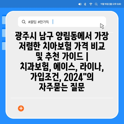 광주시 남구 양림동에서 가장 저렴한 치아보험 가격 비교 및 추천 가이드 | 치과보험, 에이스, 라이나, 가입조건, 2024"