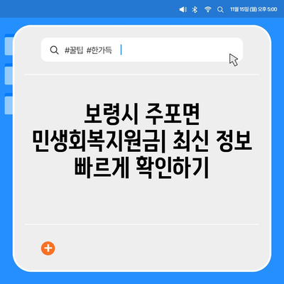 충청남도 보령시 주포면 민생회복지원금 | 신청 | 신청방법 | 대상 | 지급일 | 사용처 | 전국민 | 이재명 | 2024