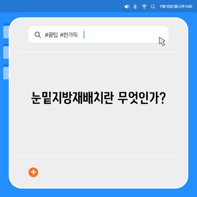 눈밑지방재배치 가격 비교 및 시술 방법 가이드 | 성형외과, 비용, 후유증