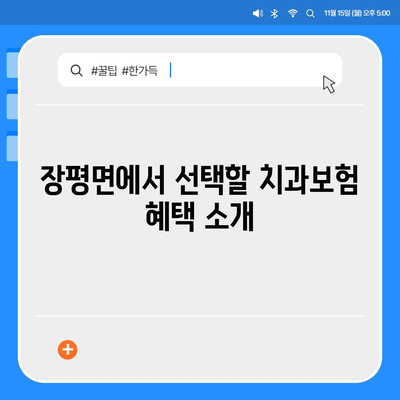 전라남도 장흥군 장평면 치아보험 가격 및 가입조건 비교 | 치과보험 추천, 에이스, 라이나, 2024