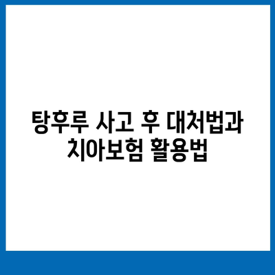 탕후루 사고에 대비한 치아보험 활용법| 효과적인 치아 보호와 비용 절감 전략 | 치아보험, 사고 대비, 건강 관리