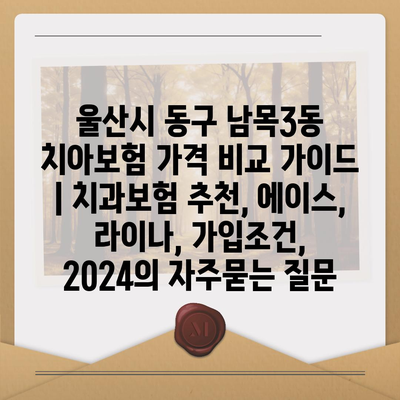 울산시 동구 남목3동 치아보험 가격 비교 가이드 | 치과보험 추천, 에이스, 라이나, 가입조건, 2024