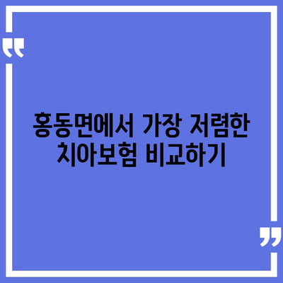 충청남도 홍성군 홍동면 치아보험 가격 비교 및 추천 가이드 | 치과보험, 에이스, 라이나, 가입조건, 2024"