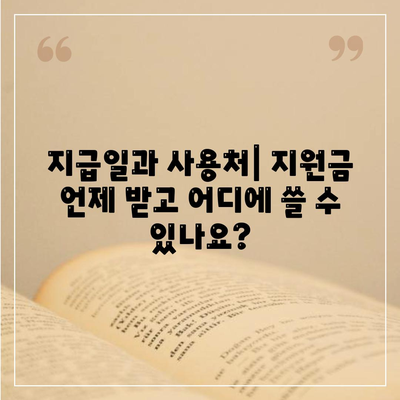 충청남도 예산군 신암면 민생회복지원금 | 신청 | 신청방법 | 대상 | 지급일 | 사용처 | 전국민 | 이재명 | 2024