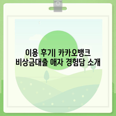 카카오뱅크 비상금대출 애자