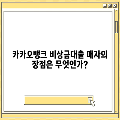 카카오뱅크 비상금대출 애자