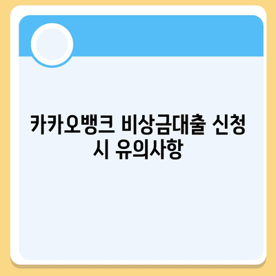 카카오뱅크 pc버전 비상금대출신청