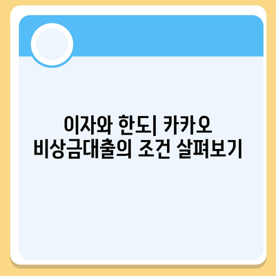 카카오 비상금대출