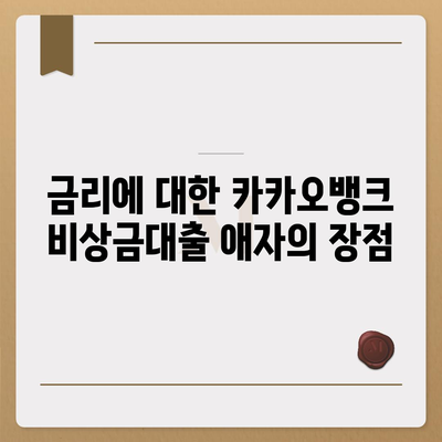 카카오뱅크 비상금대출 애자