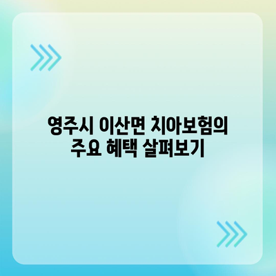 경상북도 영주시 이산면 치아보험 가격 | 치과보험 추천 비교 가이드 | 에이스, 라이나, 가입조건 및 2024년 최신 정보