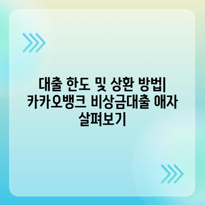 카카오뱅크 비상금대출 애자