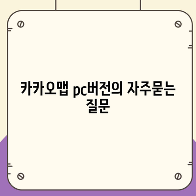 카카오맵 pc버전