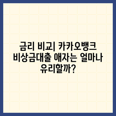 카카오뱅크 비상금대출 애자