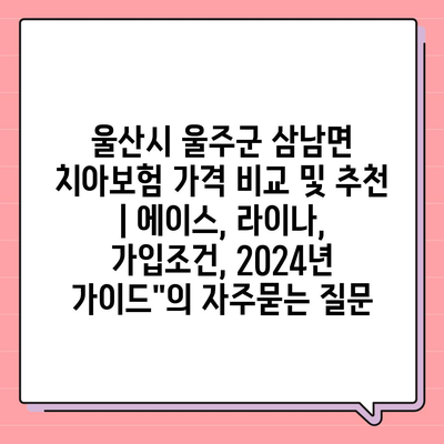 울산시 울주군 삼남면 치아보험 가격 비교 및 추천 | 에이스, 라이나, 가입조건, 2024년 가이드"