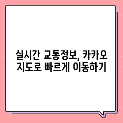 카카오 지도