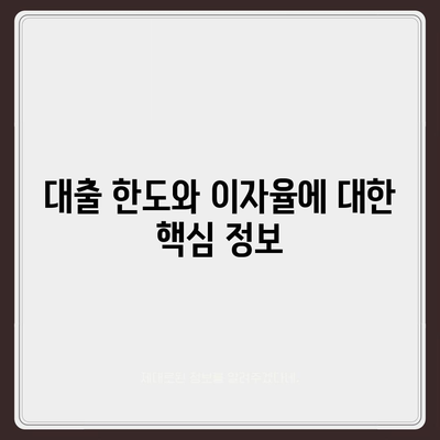 카카오뱅크 비상금대출 애자