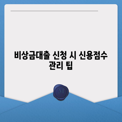 카카오뱅크 비상금대출 신용점수