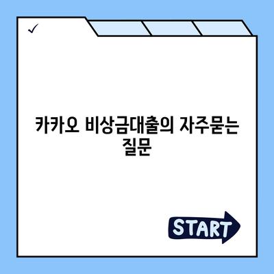 카카오 비상금대출