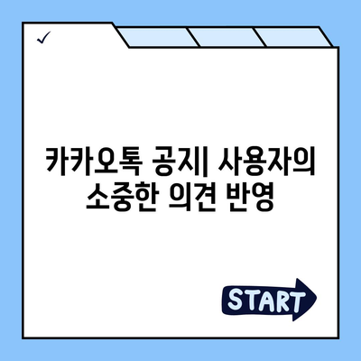 카카오톡 공지