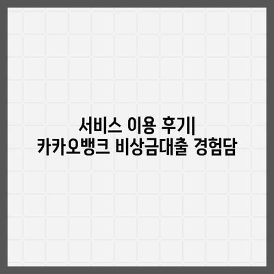 카카오뱅크 pc버전 비상금대출