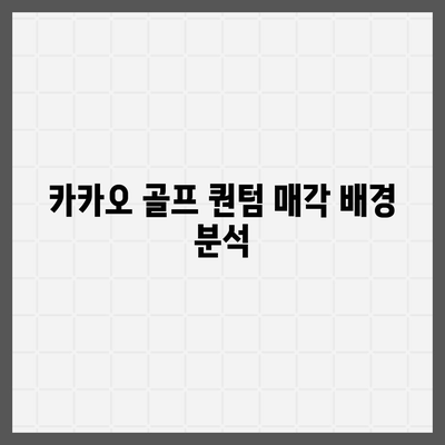 카카오 골프 퀀텀 매각 이슈 대응