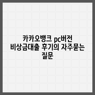 카카오뱅크 pc버전 비상금대출 후기