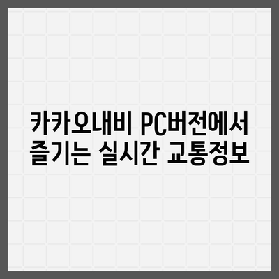 카카오내비 pc버전