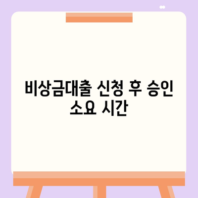 카카오뱅크 pc버전 비상금대출신청